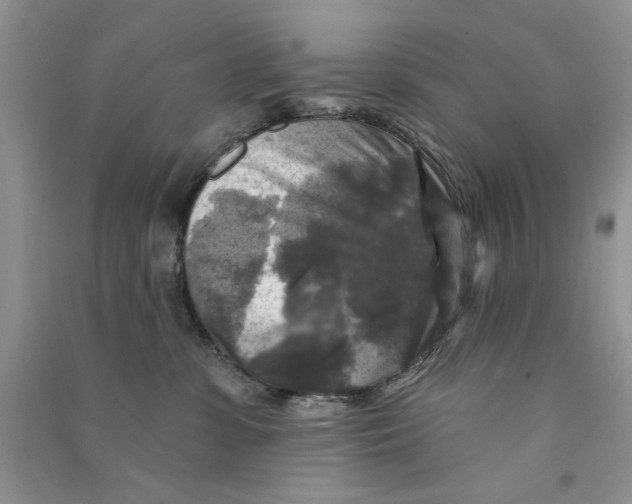 X0000090770331200708172113