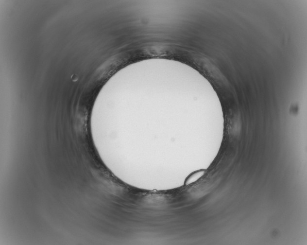 X0000090770332200708172113
