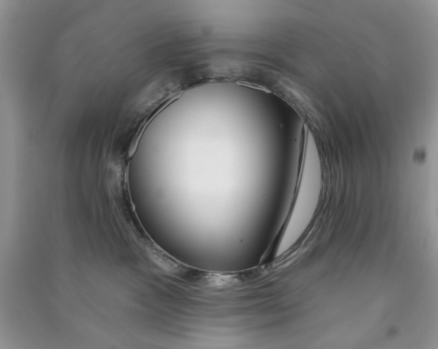 X0000090770333200708172113