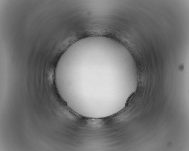 X0000090770334200708172113
