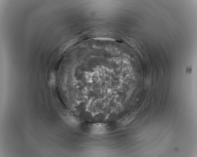 X0000090770335200708172113