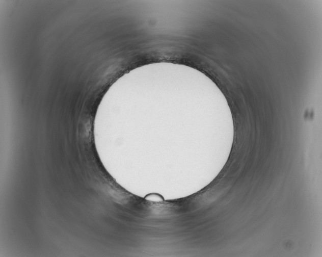 X0000090770336200708172113