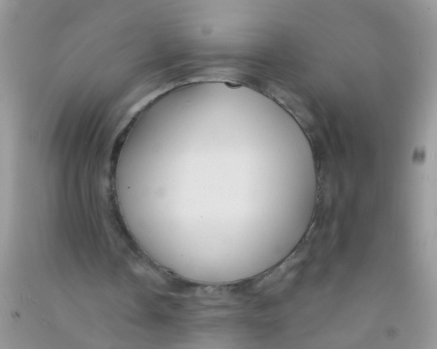 X0000090770338200708172112