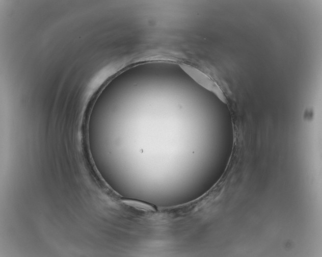 X0000090770340200708172112