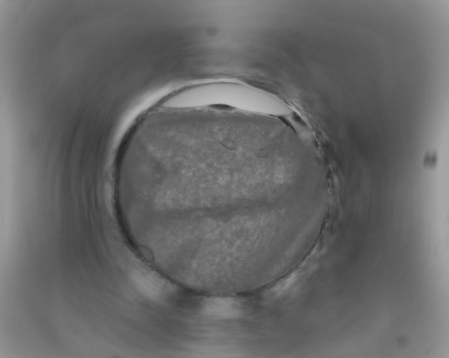 X0000090770342200708172112