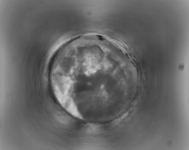 X0000090770343200708172112