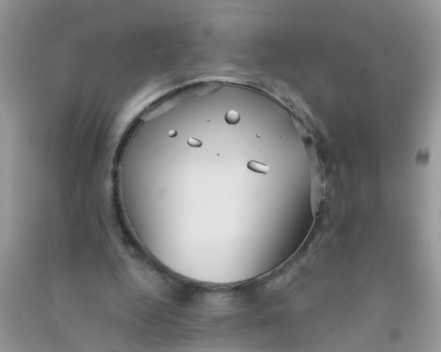 X0000090770344200708172112