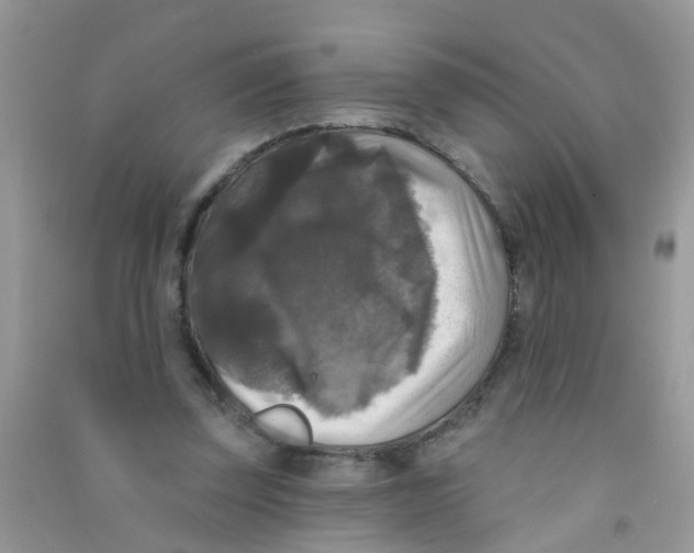 X0000090770347200708172112