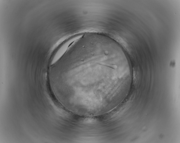 X0000090770348200708172112
