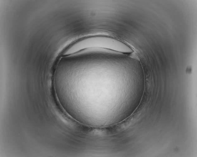 X0000090770350200708172112