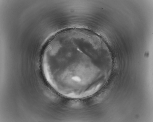 X0000090770351200708172112