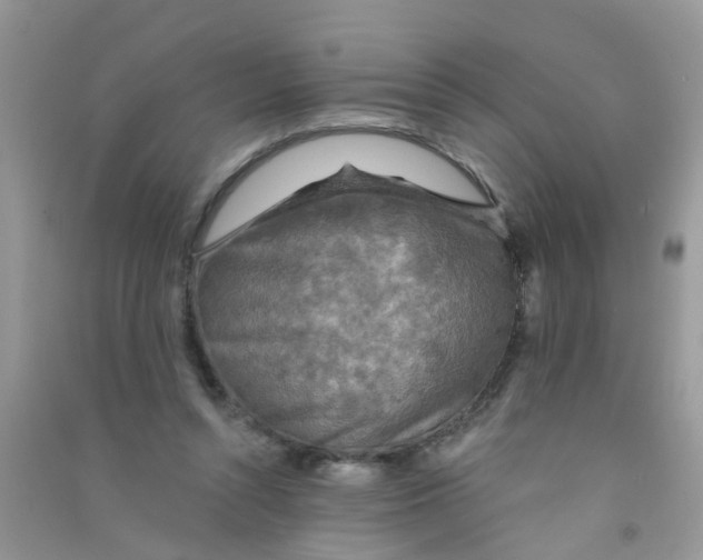 X0000090770352200708172112