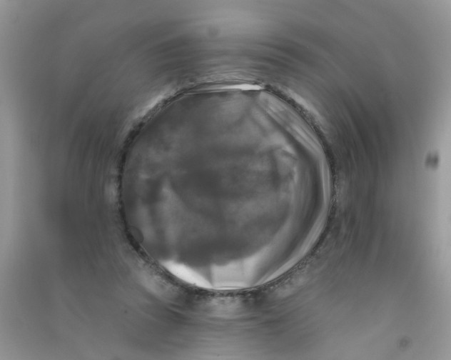 X0000090770353200708172112