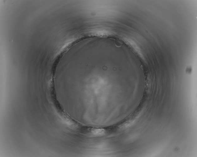 X0000090770355200708172112