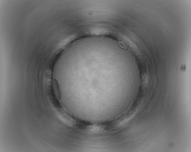X0000090770356200708172112
