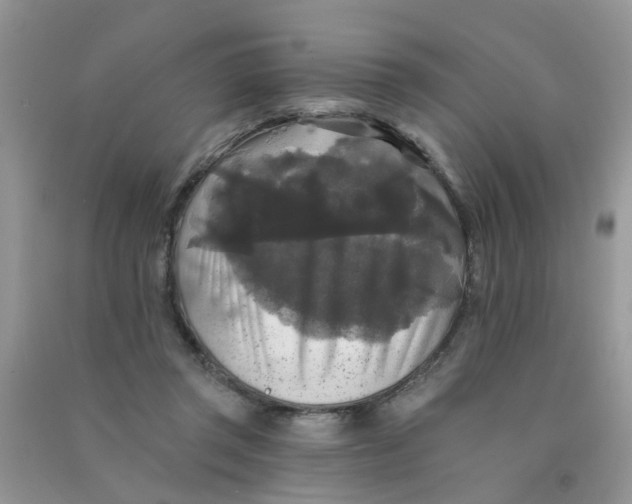 X0000090770357200708172112