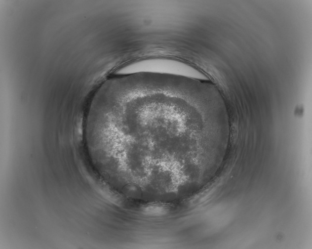 X0000090770358200708172112