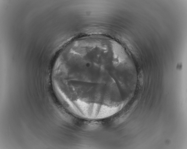 X0000090770359200708172112