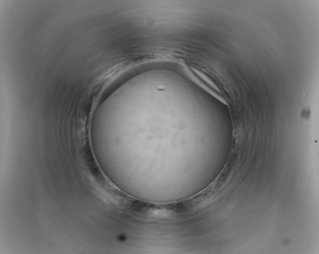X0000090770360200708172112