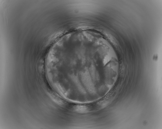 X0000090770361200708172113