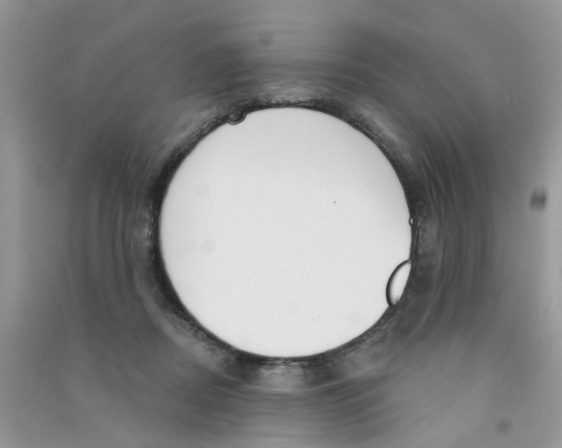X0000090770362200708172113