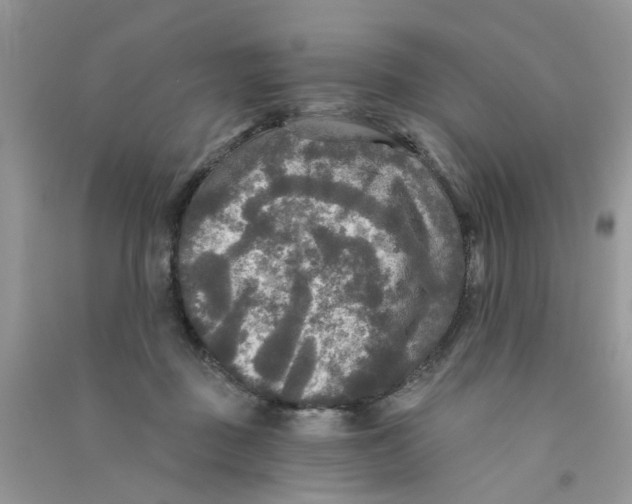 X0000090770363200708172113