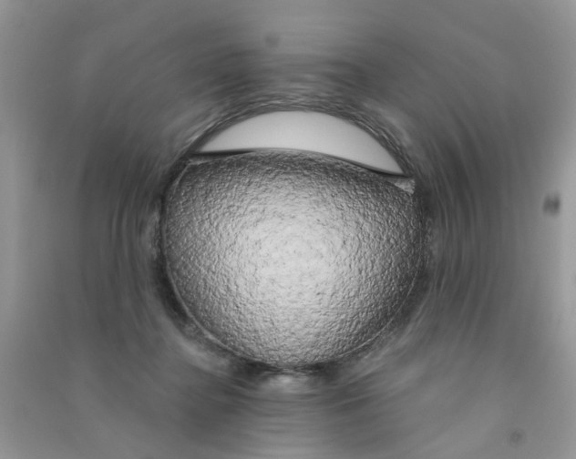 X0000090770364200708172113