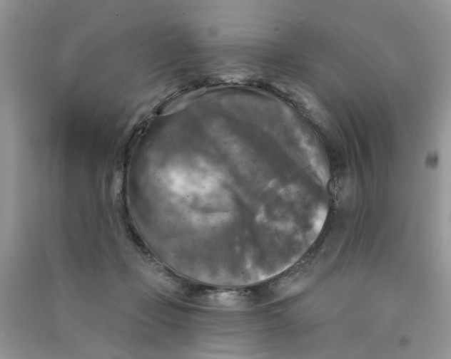 X0000090770365200708172113