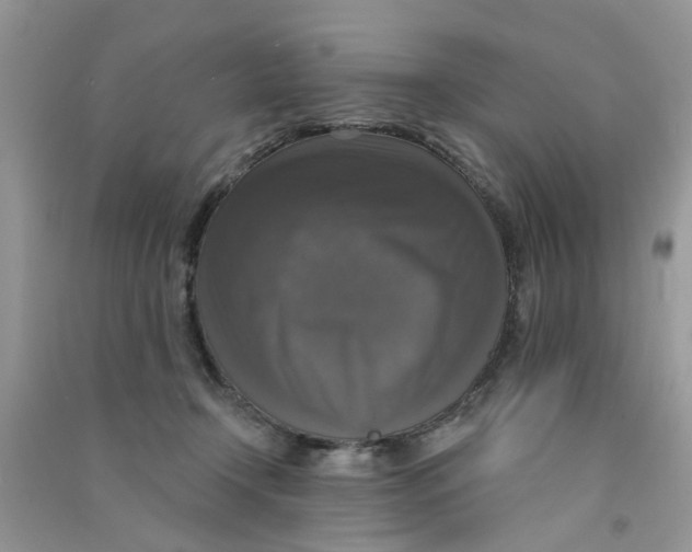 X0000090770366200708172113