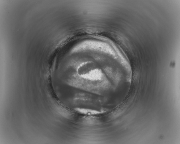 X0000090770367200708172113