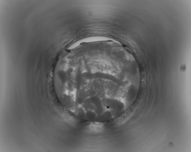X0000090770369200708172113