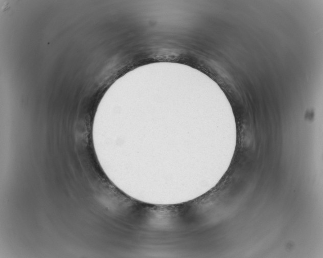 X0000090770370200708172113