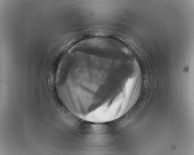 X0000090770371200708172113