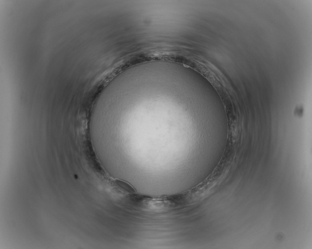X0000090770372200708172113