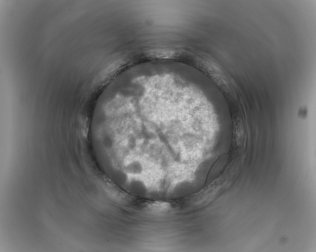 X0000090770374200708172113
