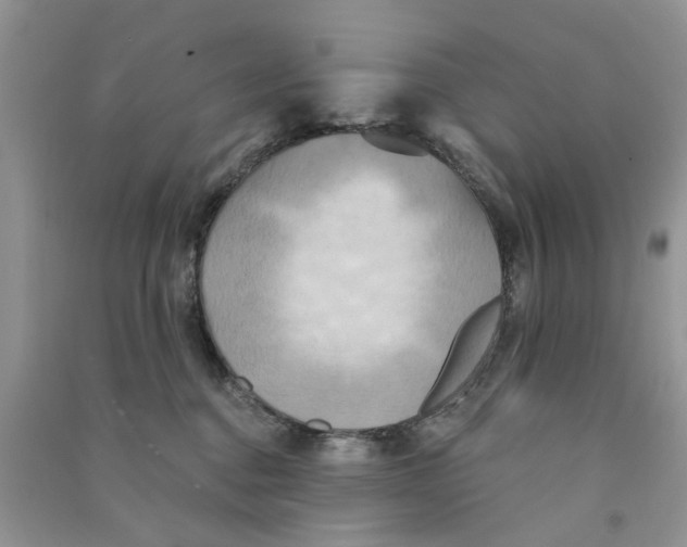 X0000090770376200708172113