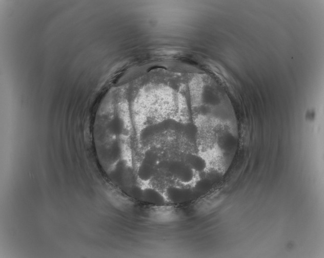 X0000090770377200708172113