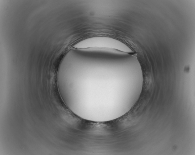 X0000090770379200708172113