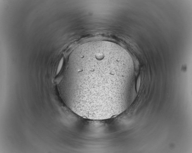 X0000090770380200708172113