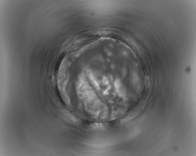 X0000090770381200708172113