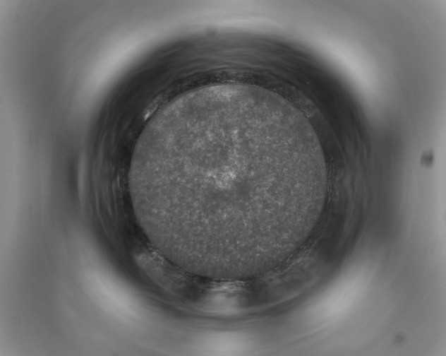 X0000090770382200708172113