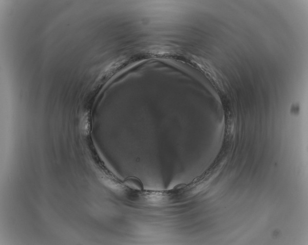 X0000090770383200708172113