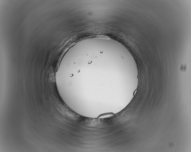 X0000090770384200708172113