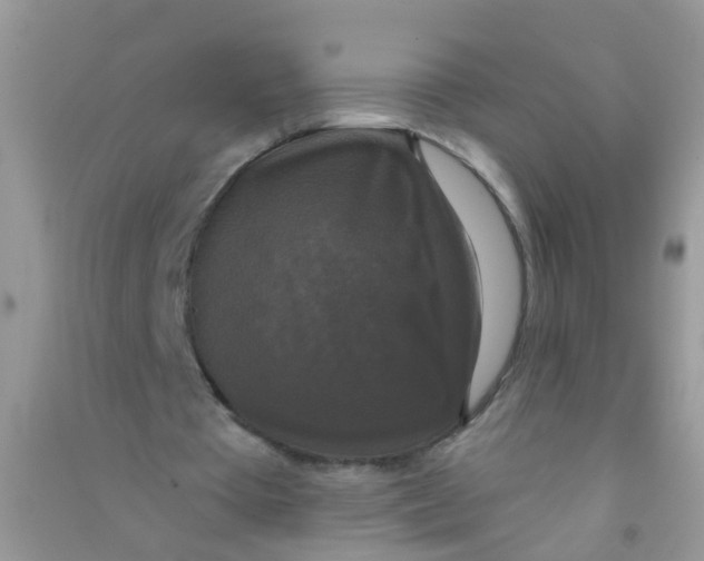 X0000090770385200708172112
