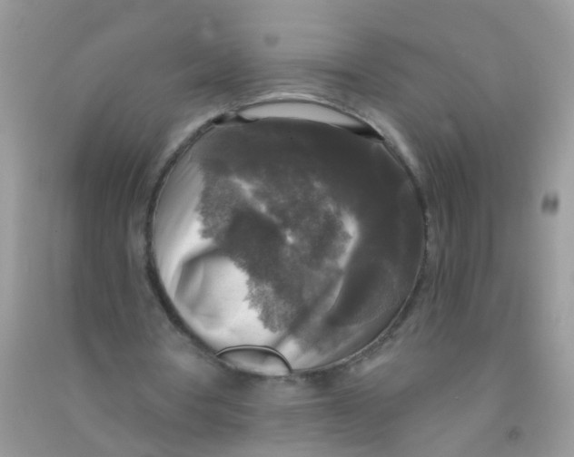 X0000090770386200708172112
