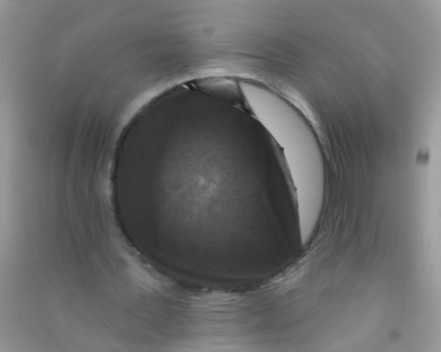 X0000090770387200708172112