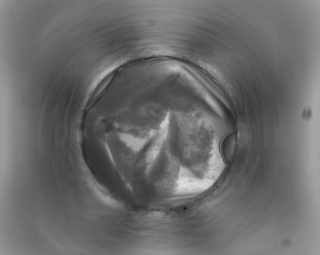 X0000090770390200708172112