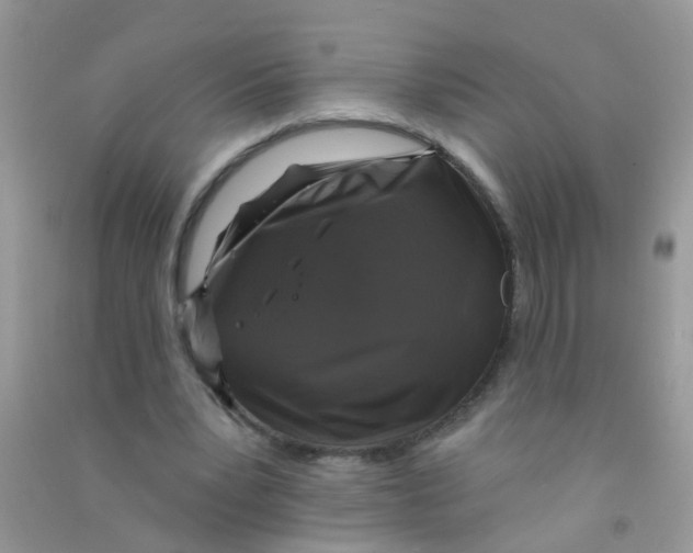 X0000090770391200708172112