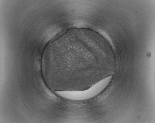 X0000090770393200708172112