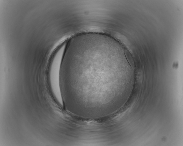 X0000090770395200708172112